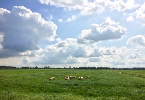 Het uitzicht vanuit de kaasmakerij.